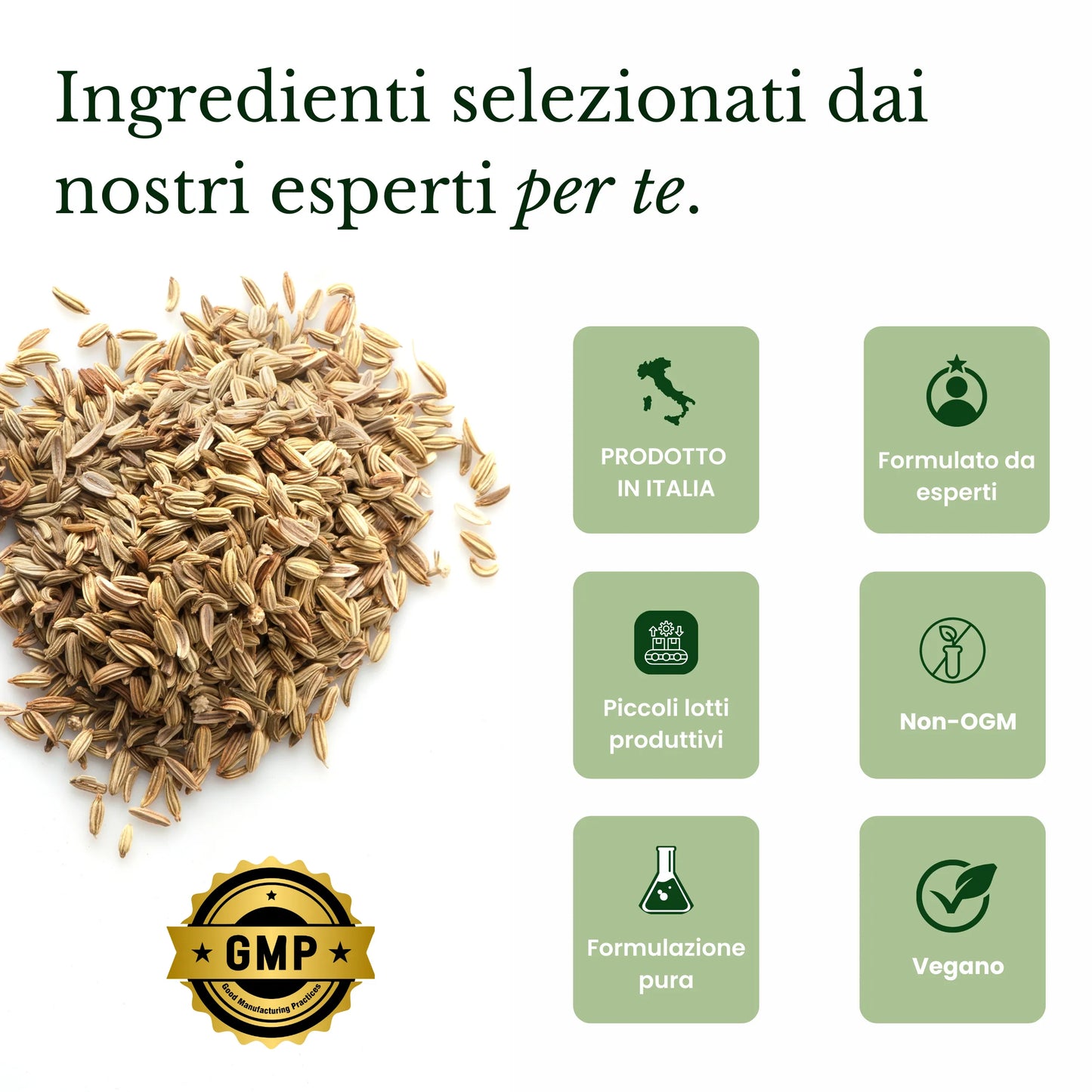 Mag5+ | Regolarità