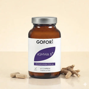 Ashwa B+