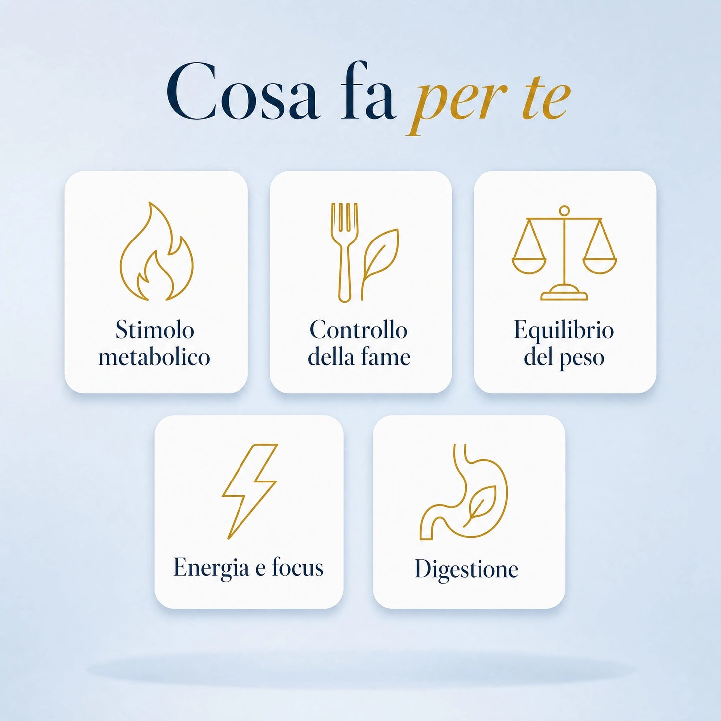 Termogenico Élite Plus