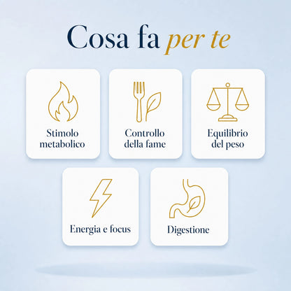 Termogenico Élite Plus