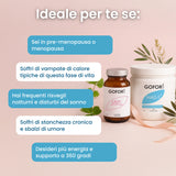 Kit Lady Menopausa