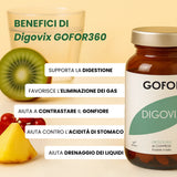 Kit Gonfiore
