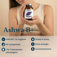 Ashwa B+