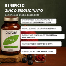 Kit Performance | Testosterone