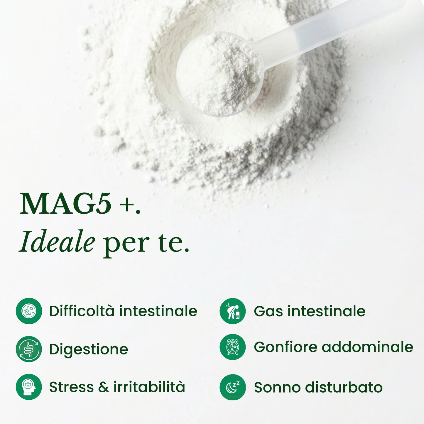 Mag5+ | Regolarità