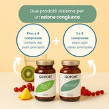 Kit Gonfiore