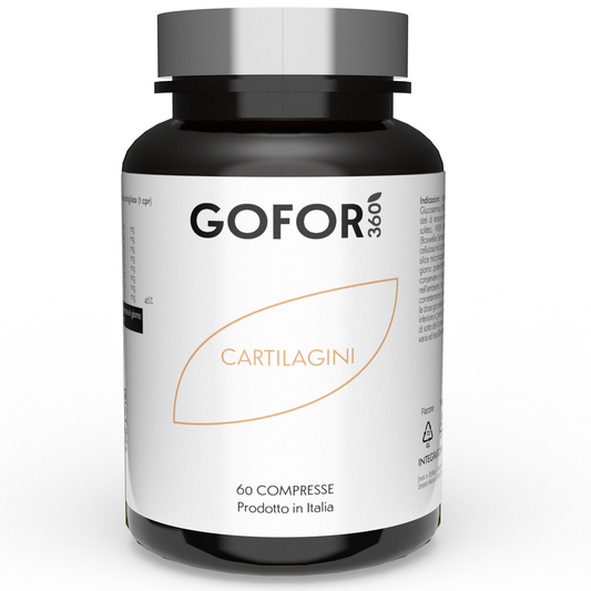 GOFOR360 - Cartilagini