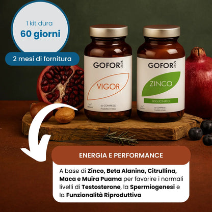 Kit Performance | Testosterone