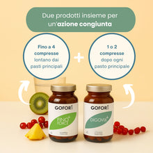Kit Gonfiore