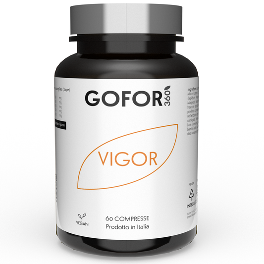 GOFOR360 - Vigor