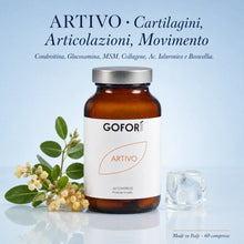 ARTIVO 02_claim