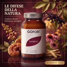 Sambivis: le difese della natura