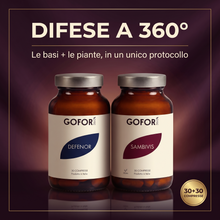 Difese a 360°: le basi e le piante