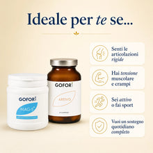 Kit Sollievo Articolazioni 02_profilo