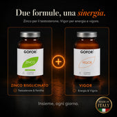 Kit Performance | Testosterone