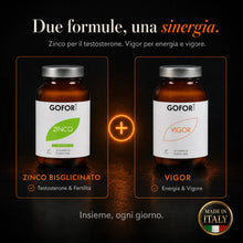 Kit Performance | Testosterone