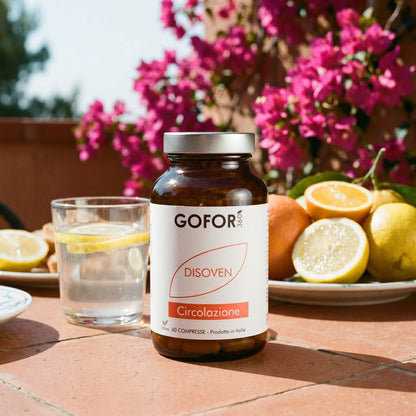 GOFOR360 - Circulation