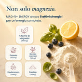 Mag5+ | Energy