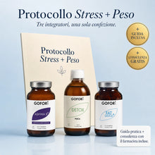 Protocollo S+P - Hero