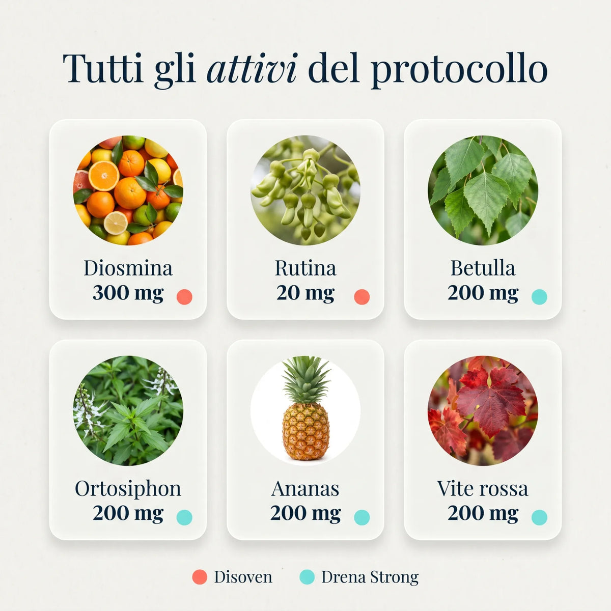 Protocollo Drenaggio e Circolazione 11