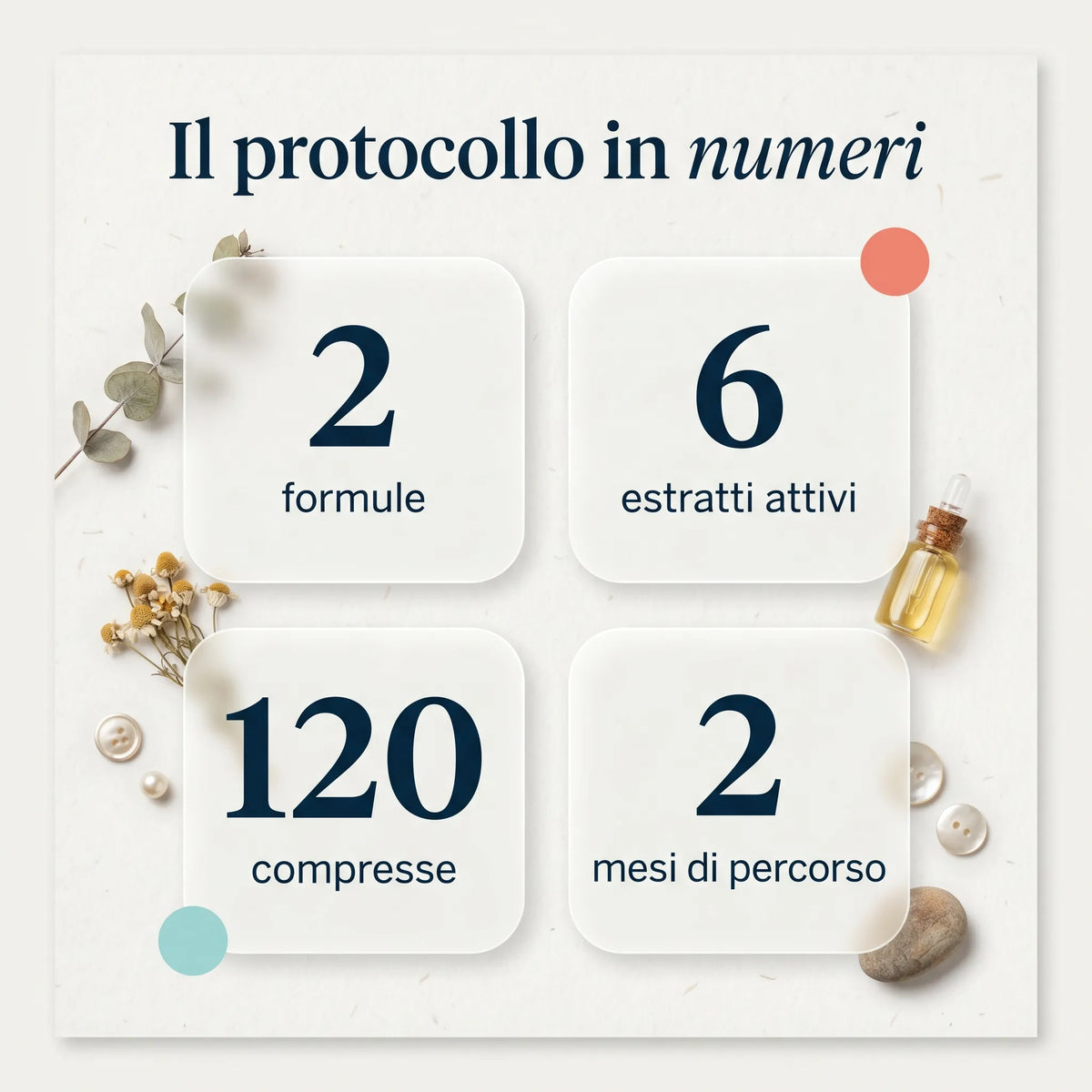 Protocollo Drenaggio e Circolazione 5